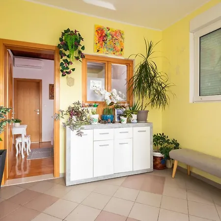 Apartman Sun Blue Mimice